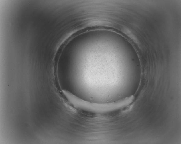 X0000069830877200605261838