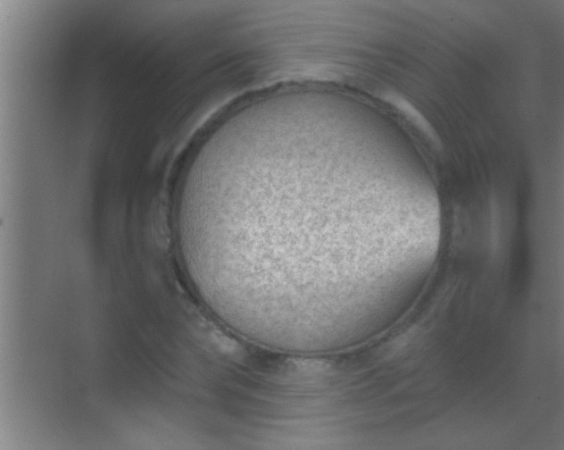 X0000069830878200605261838