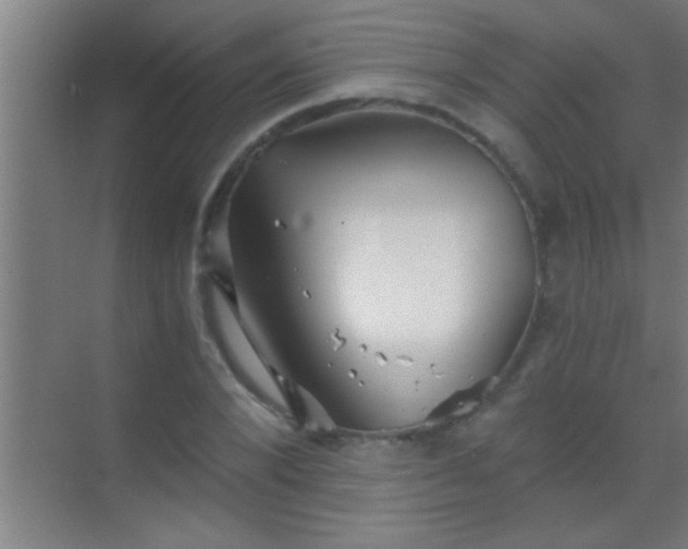 X0000069830880200605261838