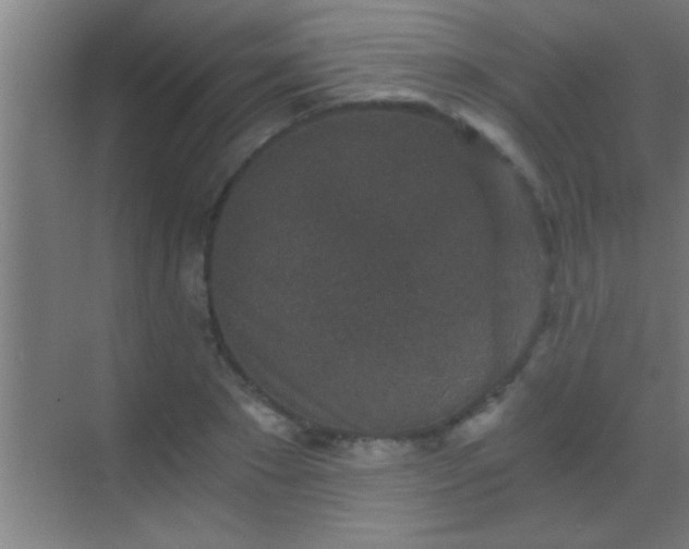 X0000069830881200605261838