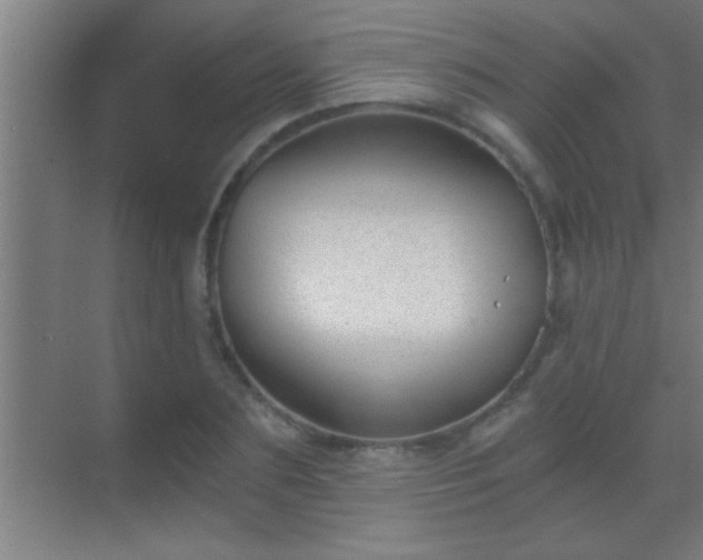 X0000069830883200605261838