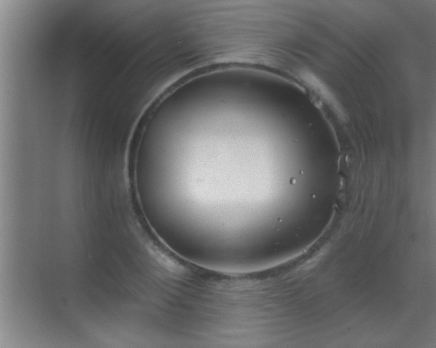 X0000069830884200605261838