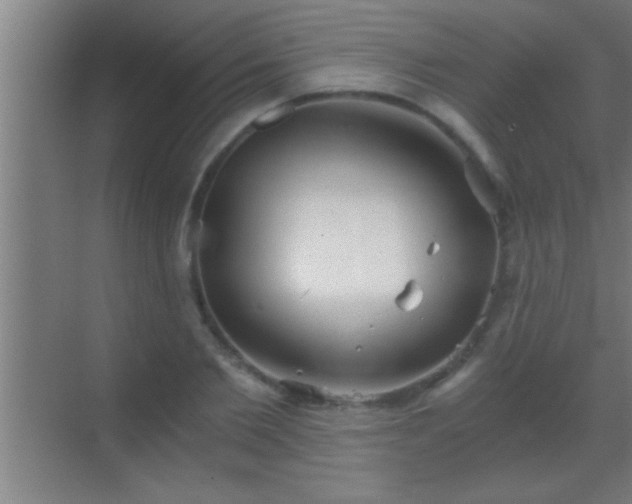 X0000069830885200605261838