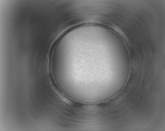 X0000069830886200605261838