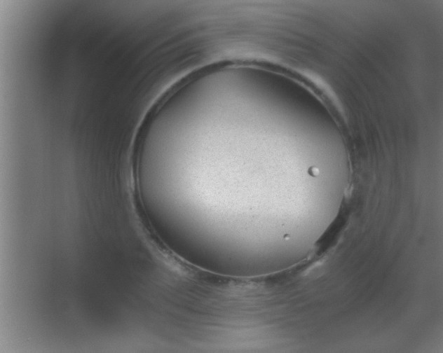 X0000069830887200605261838