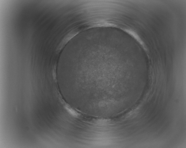 X0000069830889200605261838