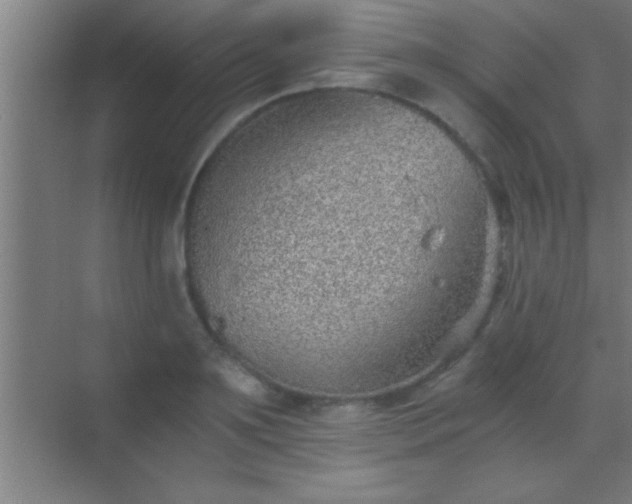 X0000069830891200605261838