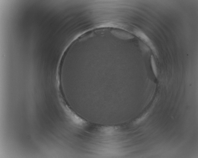 X0000069830892200605261838