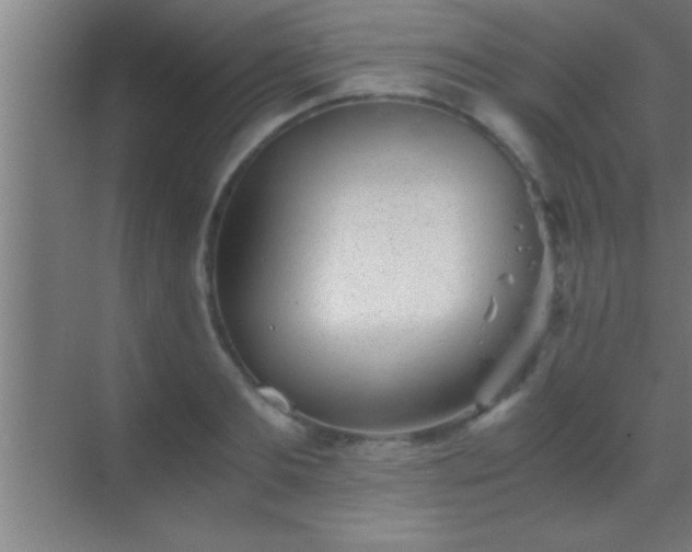 X0000069830893200605261838