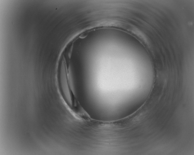 X0000069830894200605261838