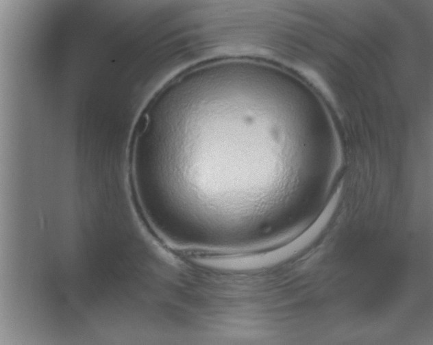 X0000069830895200605261838