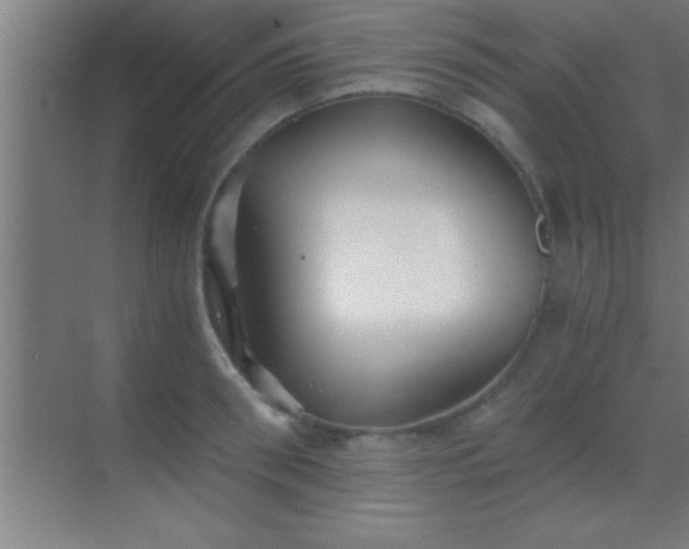 X0000069830898200605261838