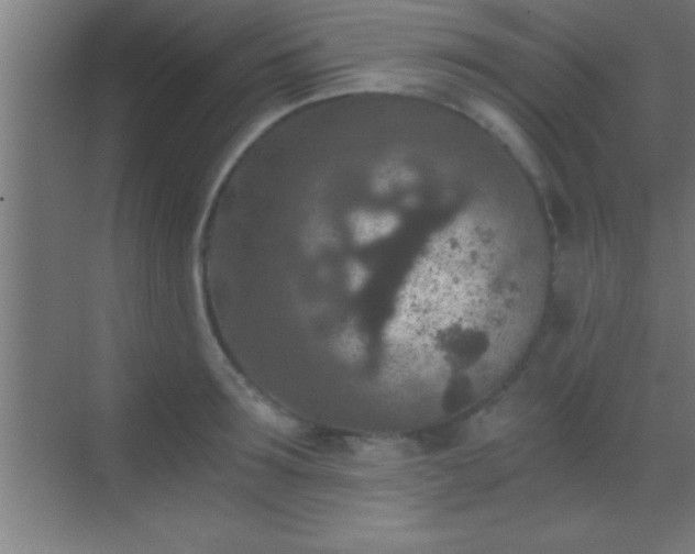 X0000069830899200605261838