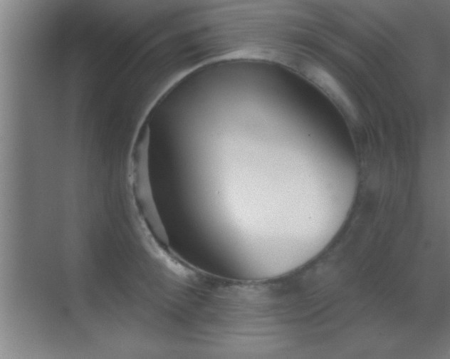 X0000069830900200605261838