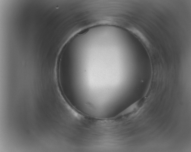 X0000069830902200605261838