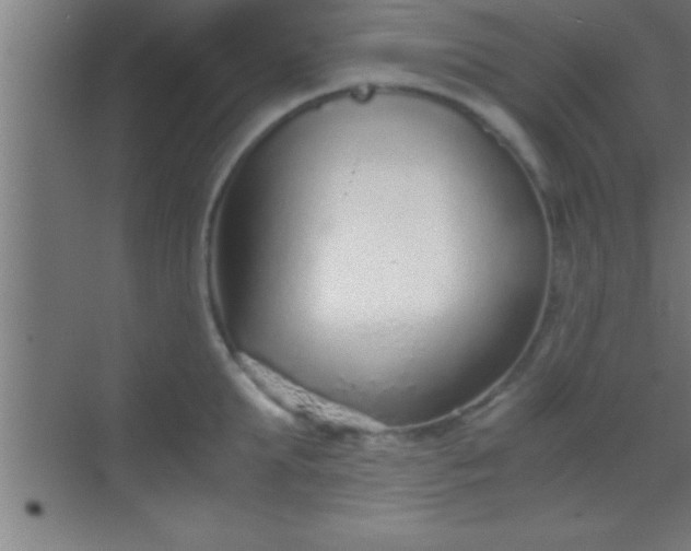 X0000069830903200605261838