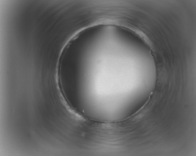 X0000069830904200605261838