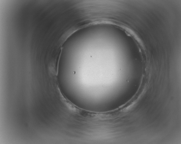 X0000069830905200605261838