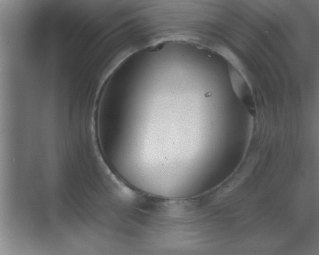 X0000069830906200605261838