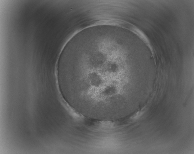 X0000069830907200605261838