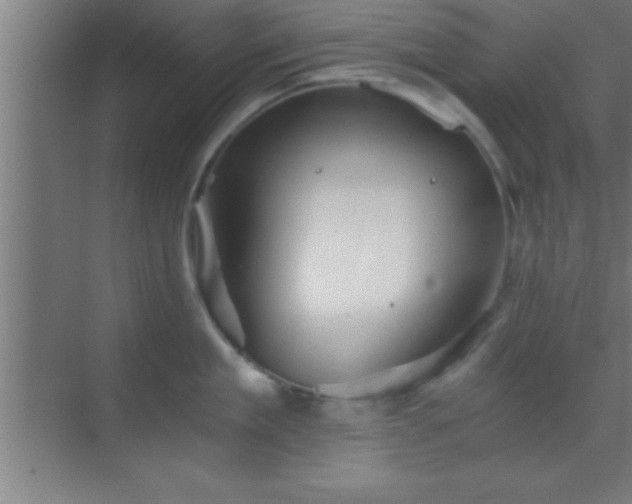 X0000069830909200605261838