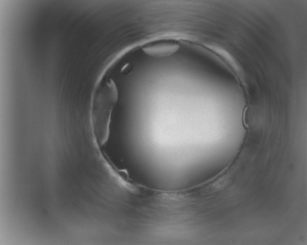 X0000069830910200605261838