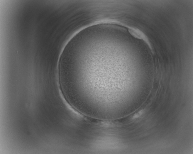 X0000069830911200605261838