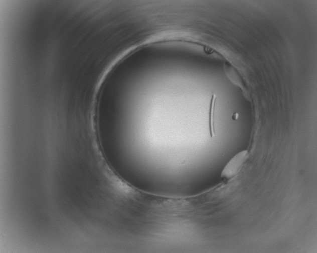 X0000069830912200605261838