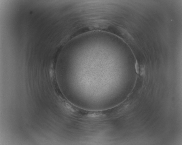 X0000069830915200605261837