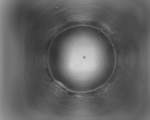 X0000069830917200605261837