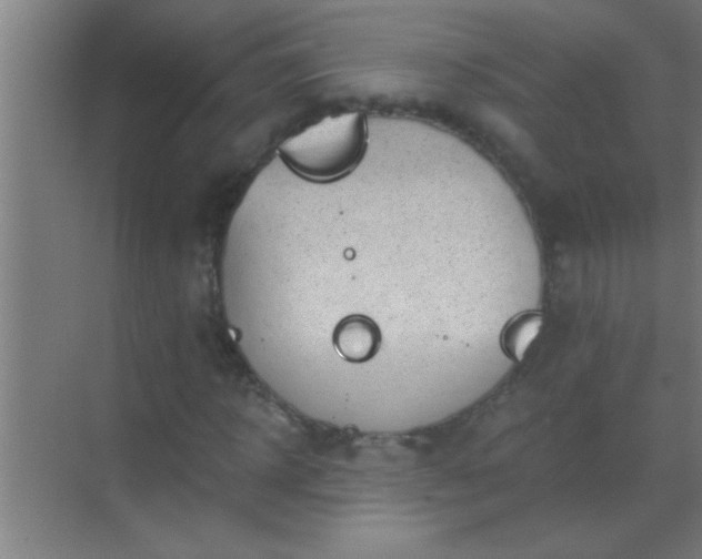 X0000069830918200605261837