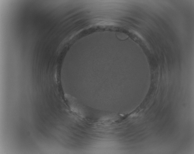 X0000069830919200605261837