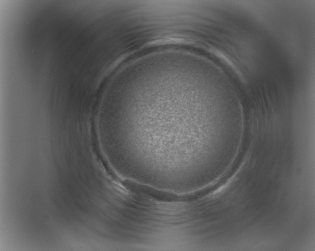 X0000069830921200605261837