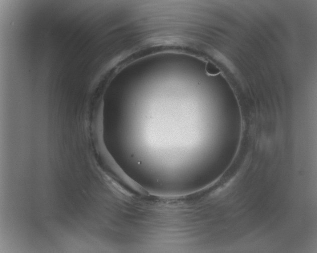 X0000069830922200605261837