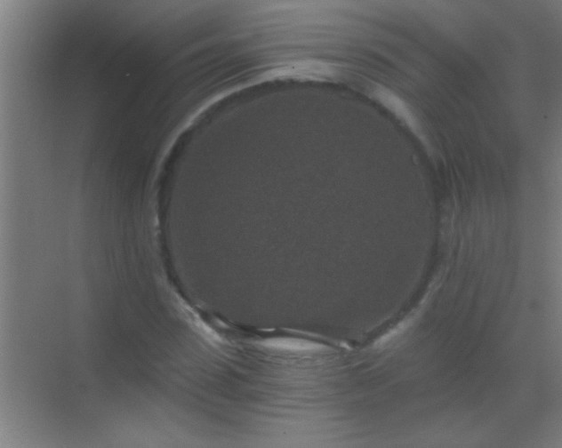 X0000069830923200605261837