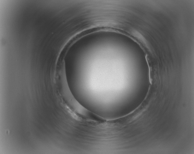 X0000069830924200605261837