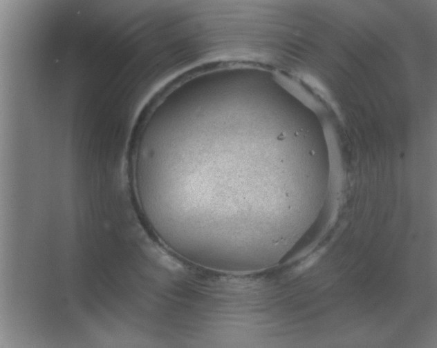 X0000069830928200605261837