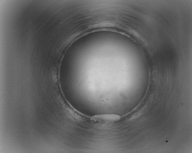 X0000069830929200605261837