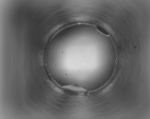 X0000069830930200605261837