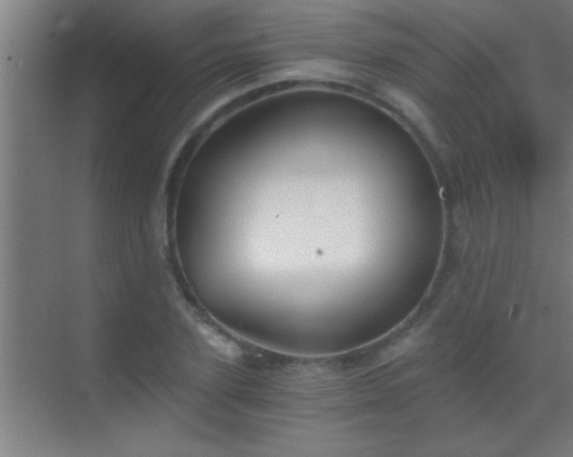 X0000069830931200605261837