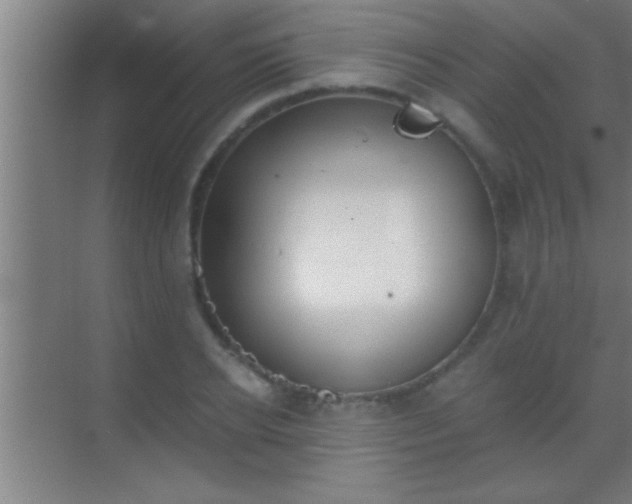 X0000069830934200605261837