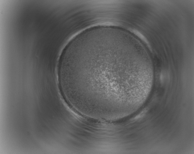 X0000069830935200605261837