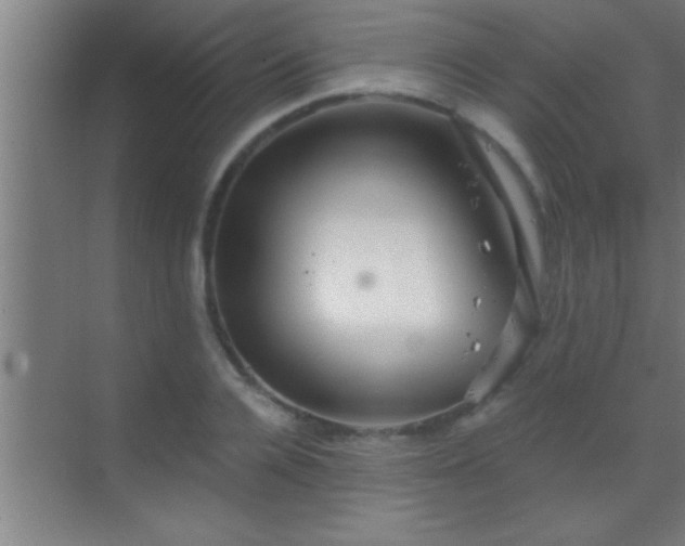 X0000069830936200605261837