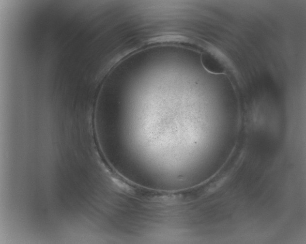 X0000069830937200605261837