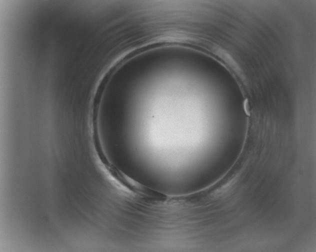 X0000069830939200605261837