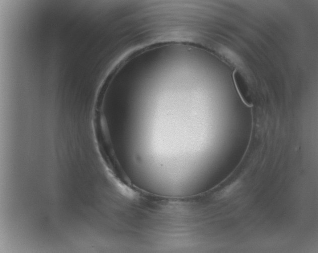 X0000069830942200605261837