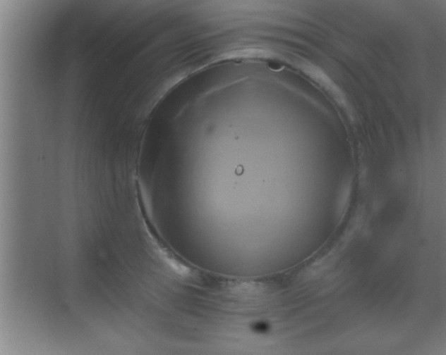 X0000069830945200605261837