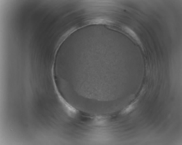 X0000069830946200605261837