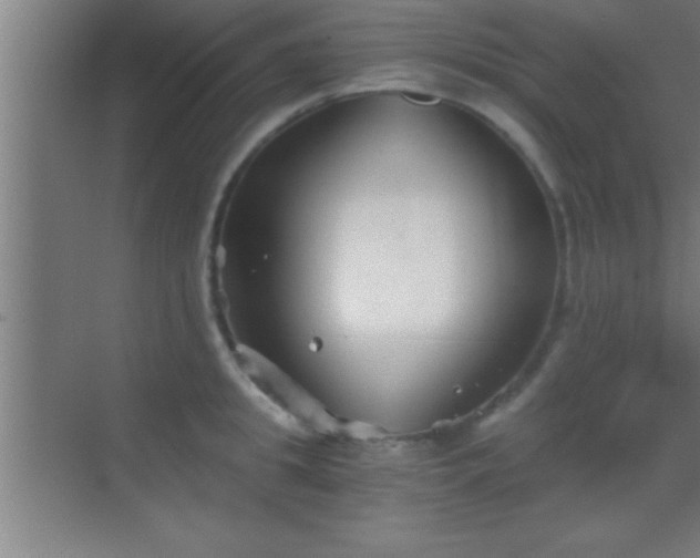 X0000069830949200605261837