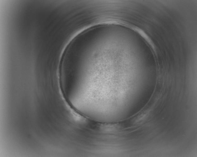 X0000069830951200605261837